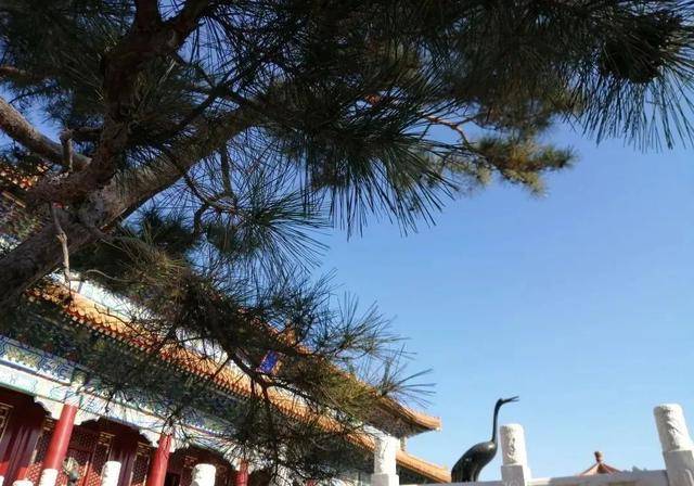 MHk国语考试苹果版
:中国古典散文的最高水准，浓缩千年智慧，堪称真正的人生指南