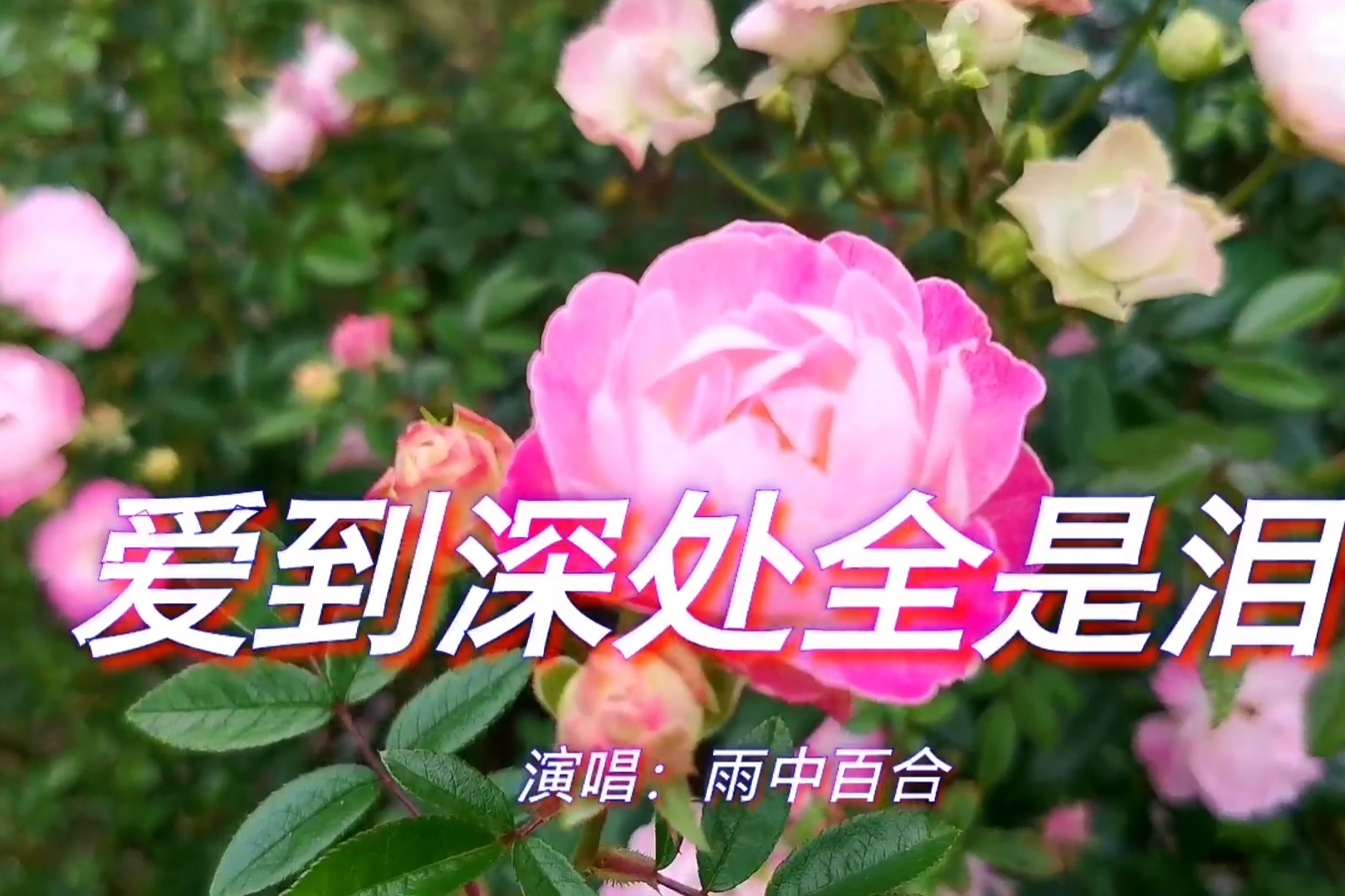 手机版催人泪下的情歌赵真十大催人泪下的情歌