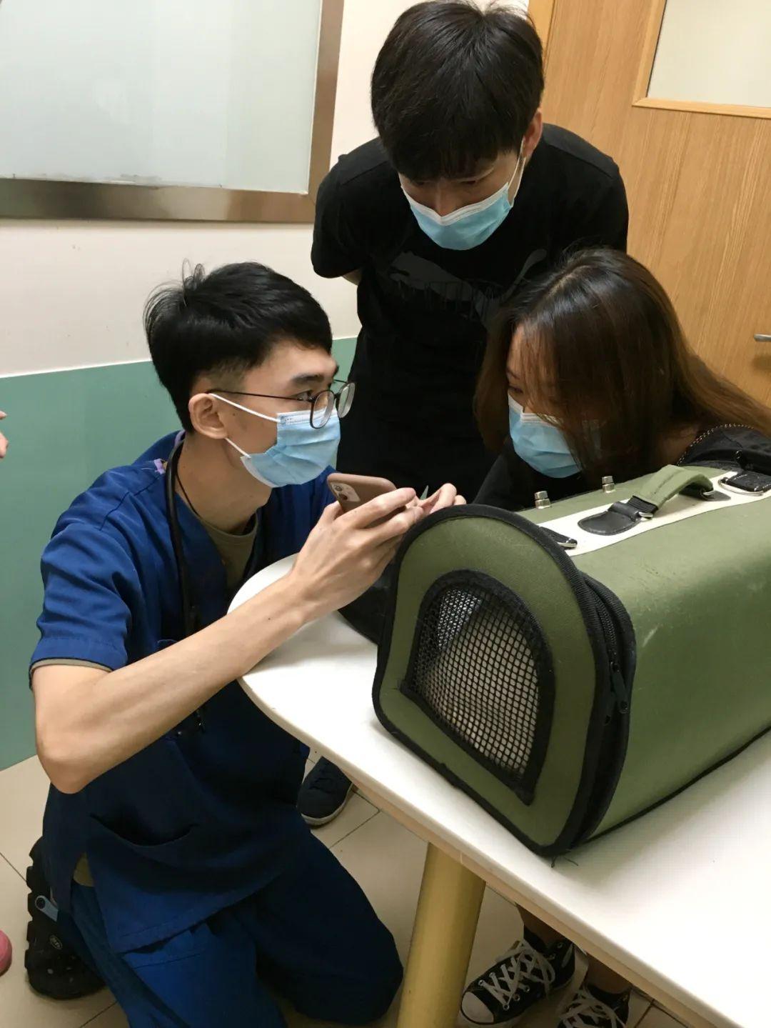瑞鹏医疗客户端迈瑞医疗官方网站