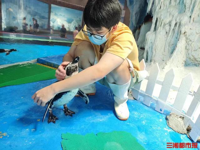 怎么登录企鹅客户端企鹅体育app官方下载-第1张图片-太平洋在线下载