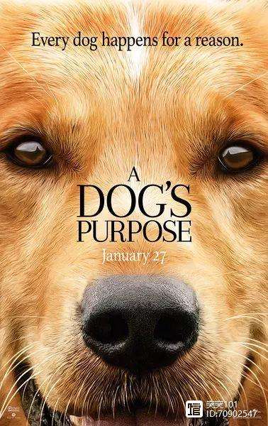 奇狗影视手机版(奇狗影视appstore怎么没有了)-第5张图片-QuickQ官网 奇狗影视手机版(奇狗影视appstore怎么没有了)-第5张图片-QuickQ官网