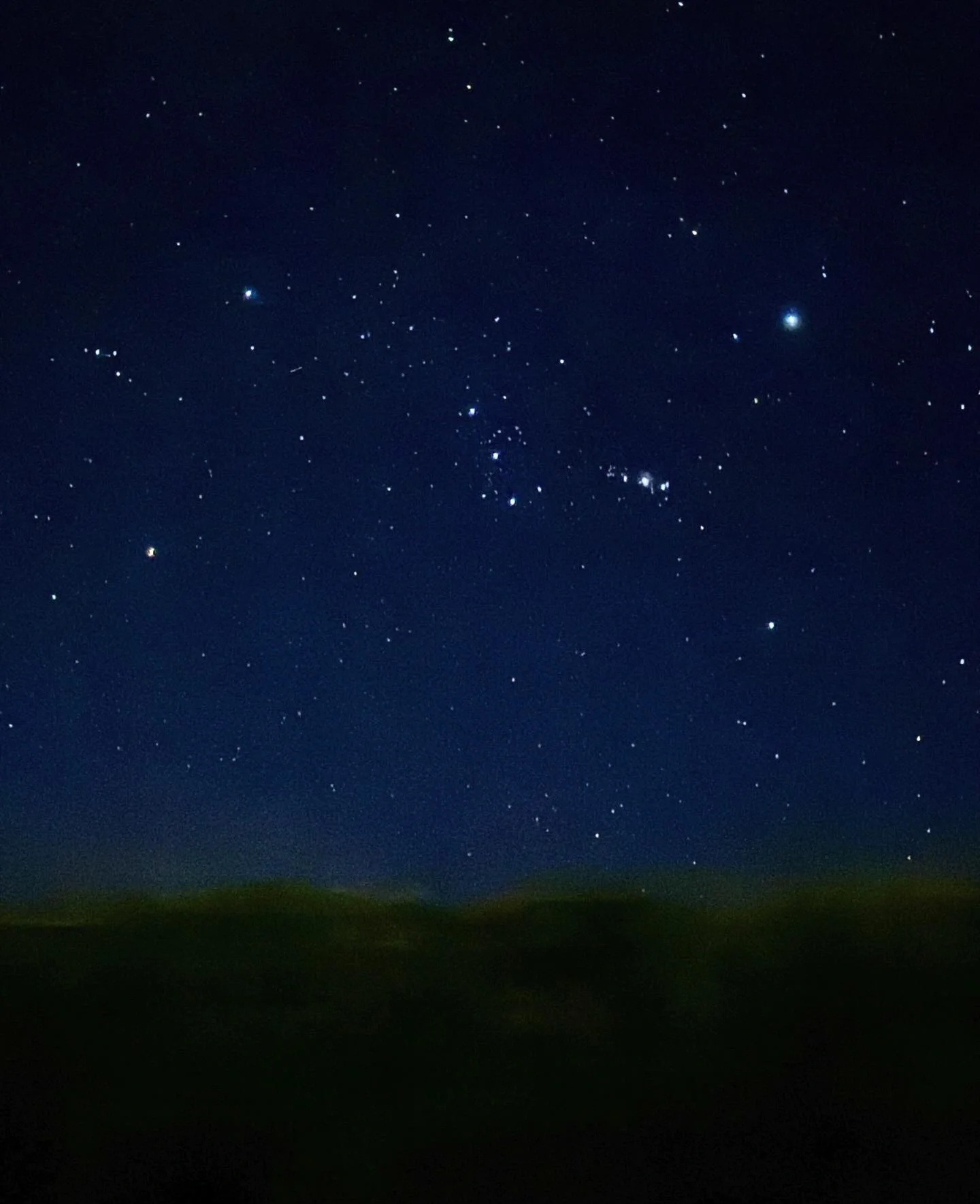 火萤虫视频壁纸安卓版(火萤壁纸app官方下载)-第2张图片-QuickQ官网 火萤虫视频壁纸安卓版(火萤壁纸app官方下载)-第2张图片-QuickQ官网