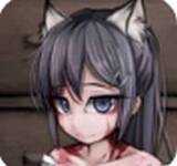 冷狐破解安卓直装版(冷狐汉化破解版游戏合集直装)