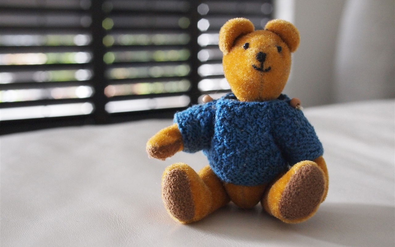 泰迪熊苹果版(泰迪熊软件下载)-第1张图片-QuickQ官网