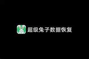 龙腾数据恢复软件手机版(龙腾数据恢复软件手机版怎么下载)-第2张图片-QuickQ官网